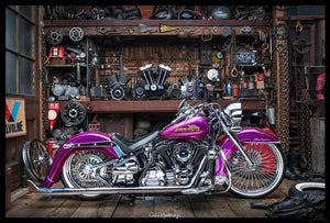 Center stand for Softails