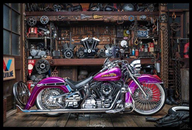 Center stand for Softails